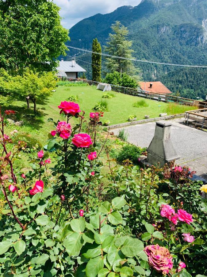 Mansarda La Soffitta Aparthotel Domegge di Cadore Eksteriør bilde