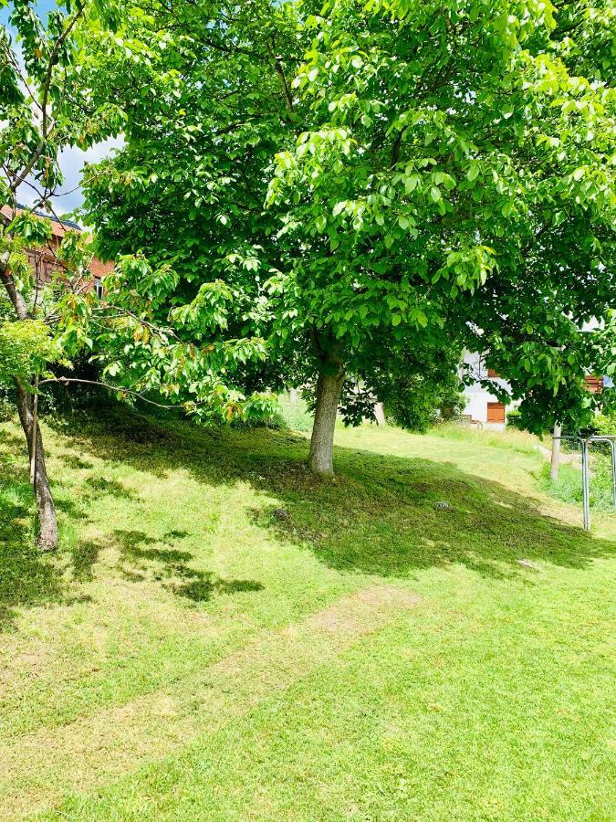 Mansarda La Soffitta Aparthotel Domegge di Cadore Eksteriør bilde