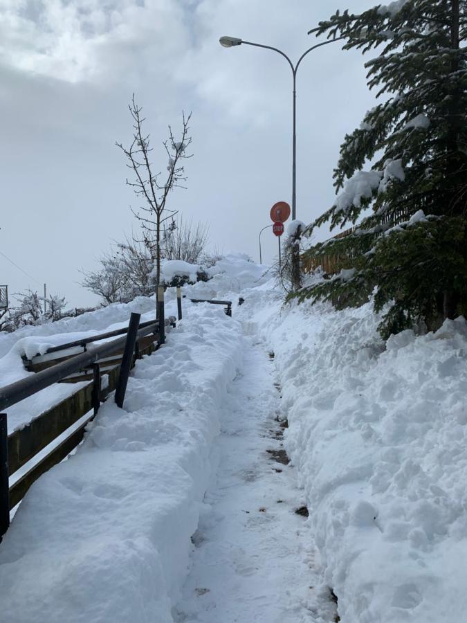 Mansarda La Soffitta Aparthotel Domegge di Cadore Eksteriør bilde
