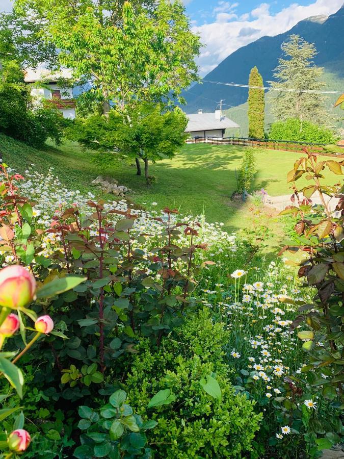 Mansarda La Soffitta Aparthotel Domegge di Cadore Eksteriør bilde