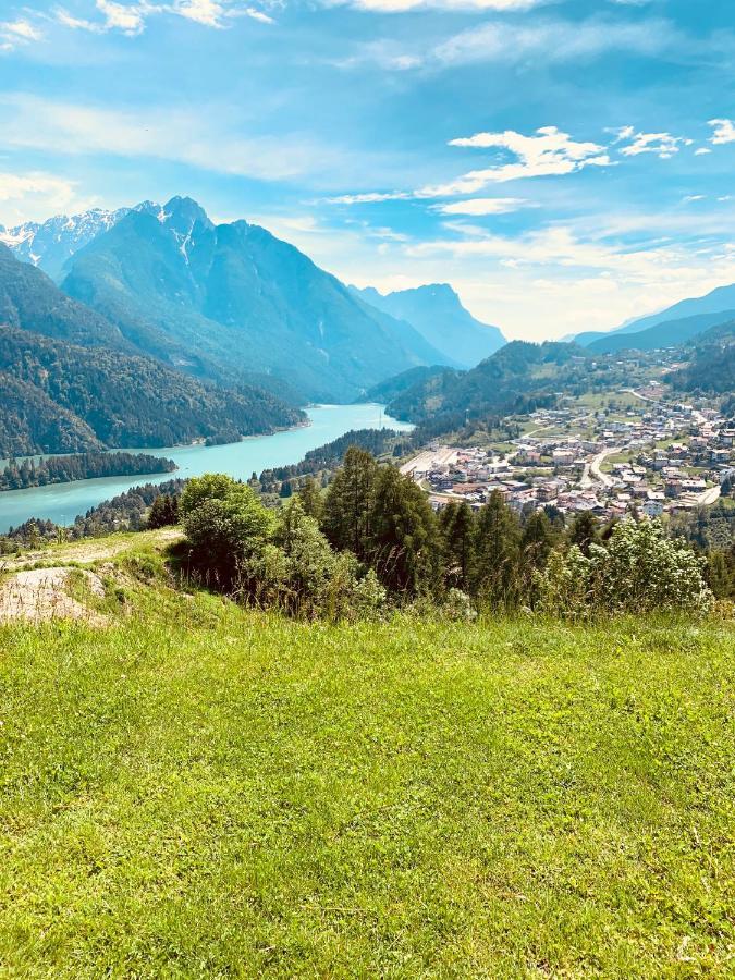 Mansarda La Soffitta Aparthotel Domegge di Cadore Eksteriør bilde